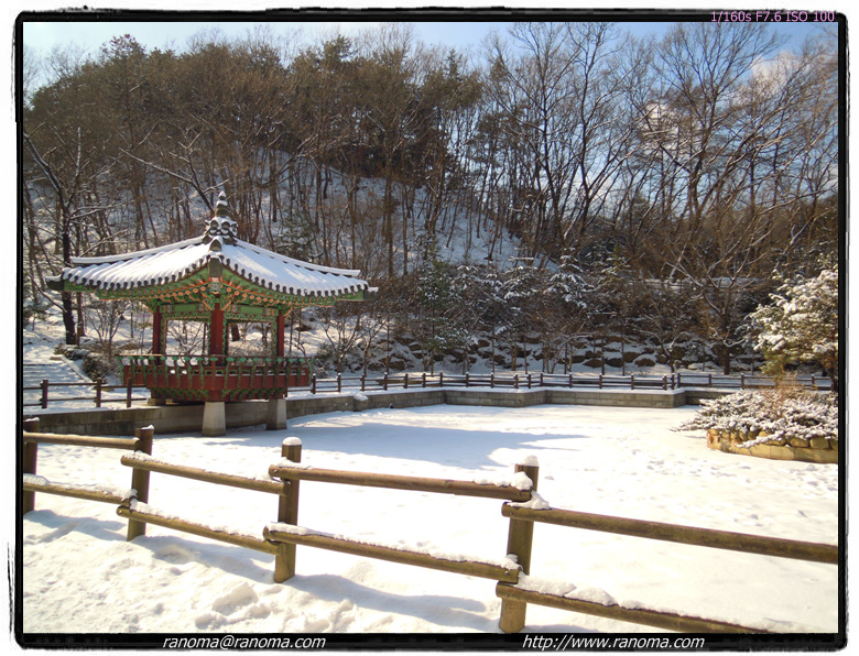 DSCN0398.jpg