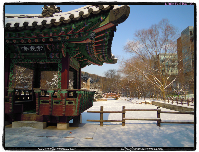 DSCN0401.jpg