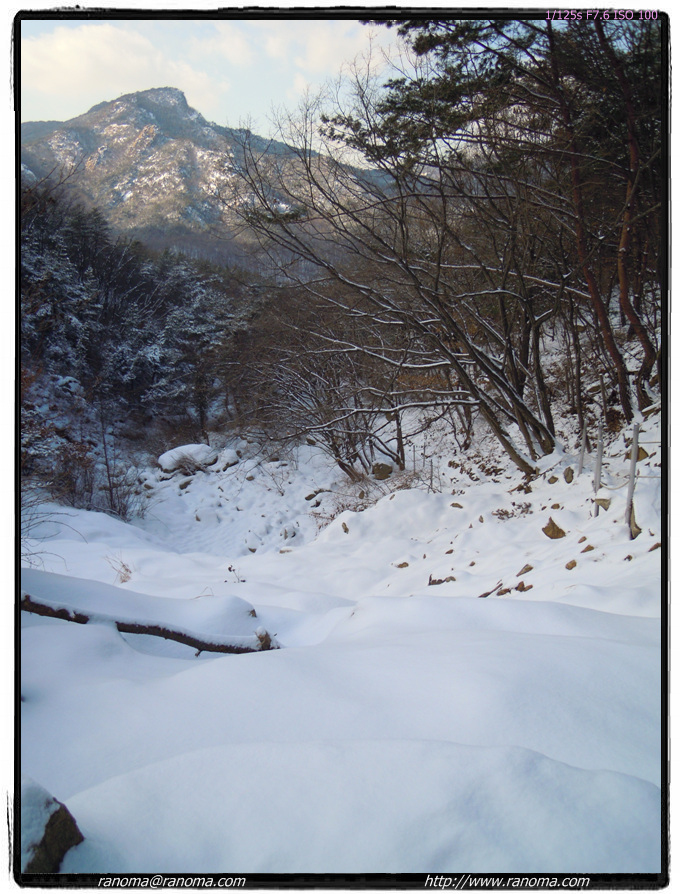 DSCN0406.jpg
