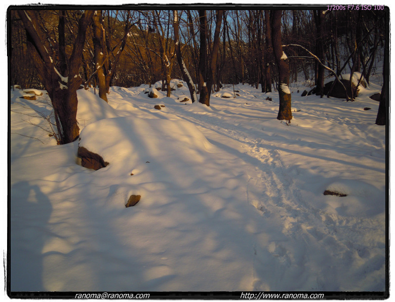 DSCN0434.jpg
