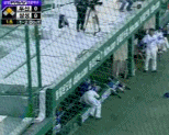 10. 우물에 빠진 돼지.gif