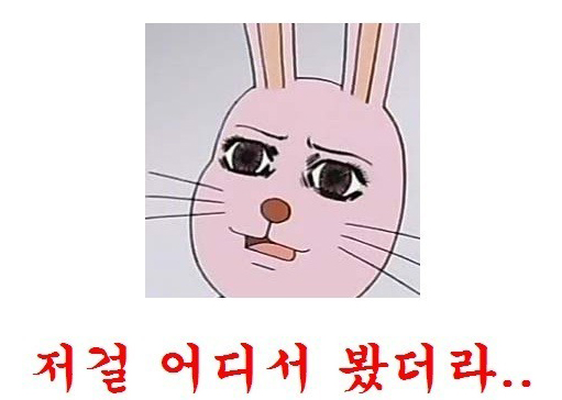 저걸 어디서 봤더라.jpg