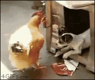 뜻밖의 동침.gif