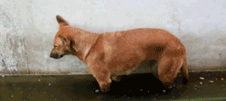 졸음 방지 시스템.gif