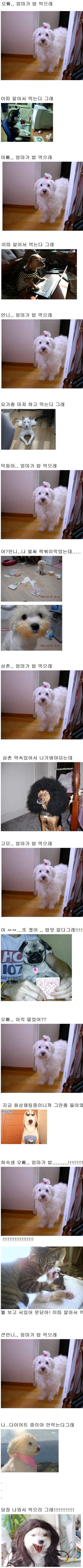 엄마가 밥 먹으래.jpg