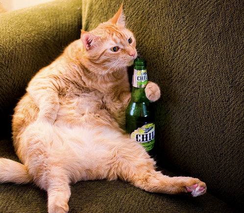 고양이와 술 033.png