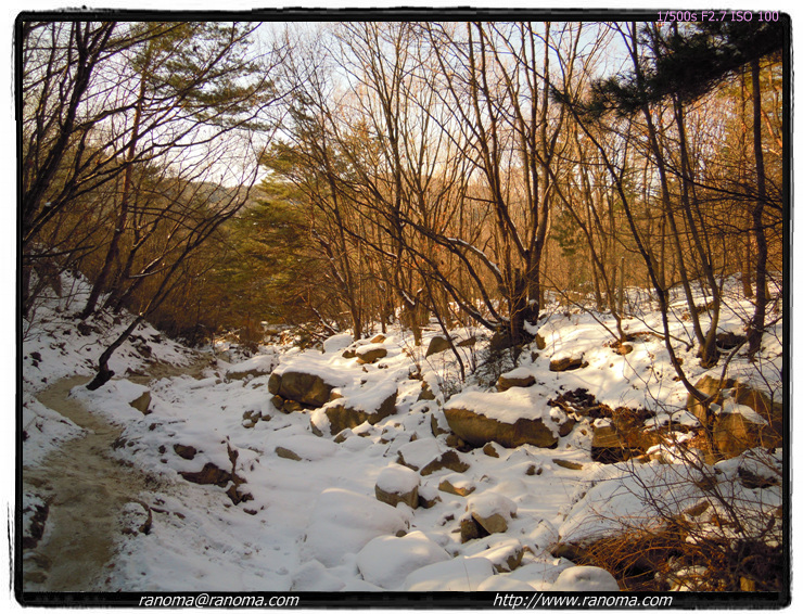 DSCN0267.jpg