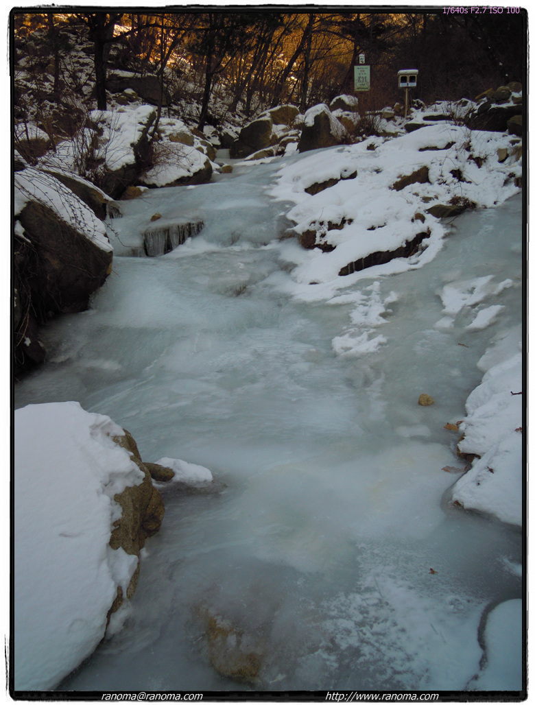 DSCN0274.jpg