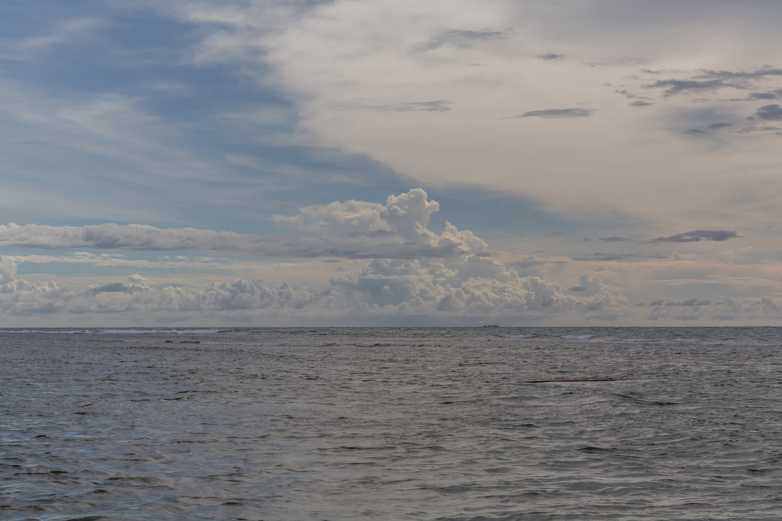 _J0B4550.jpg