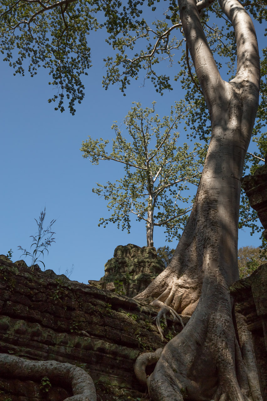 _J0A2242-1.jpg