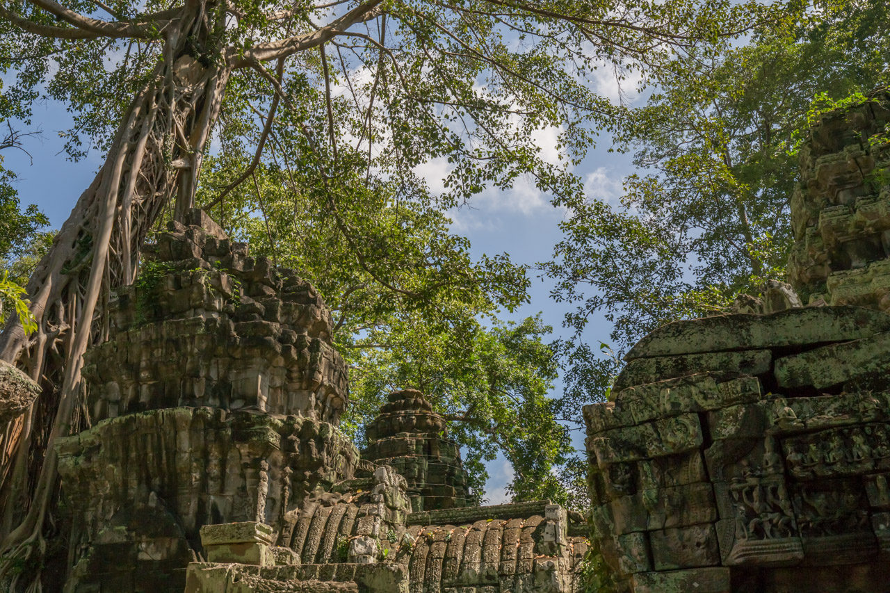 _J0A2254-1.jpg