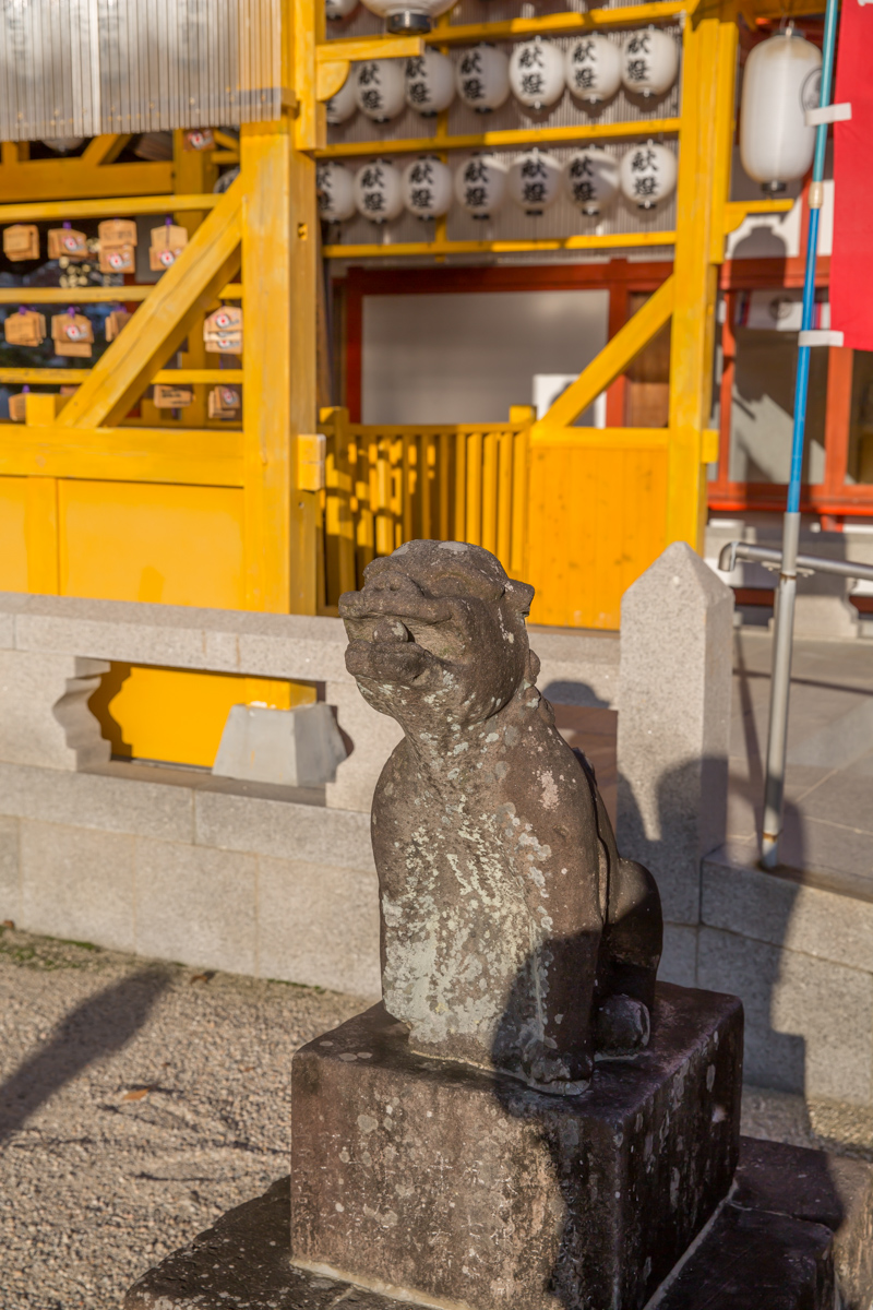 _J0A09687.jpg