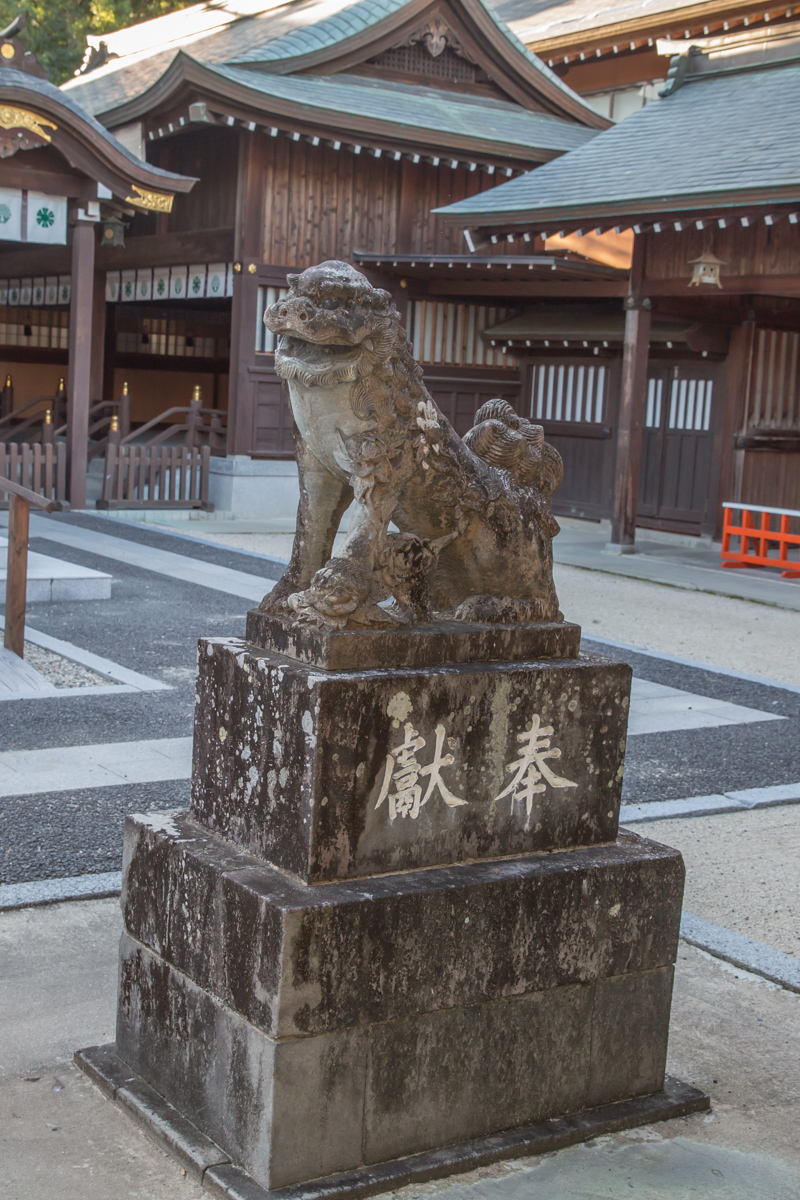 _J0A09705.jpg