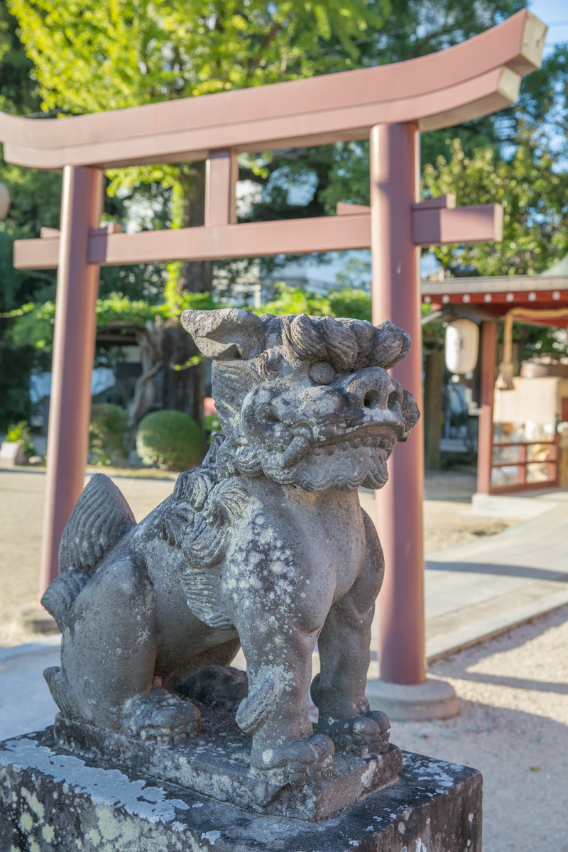 _J0A09684.jpg