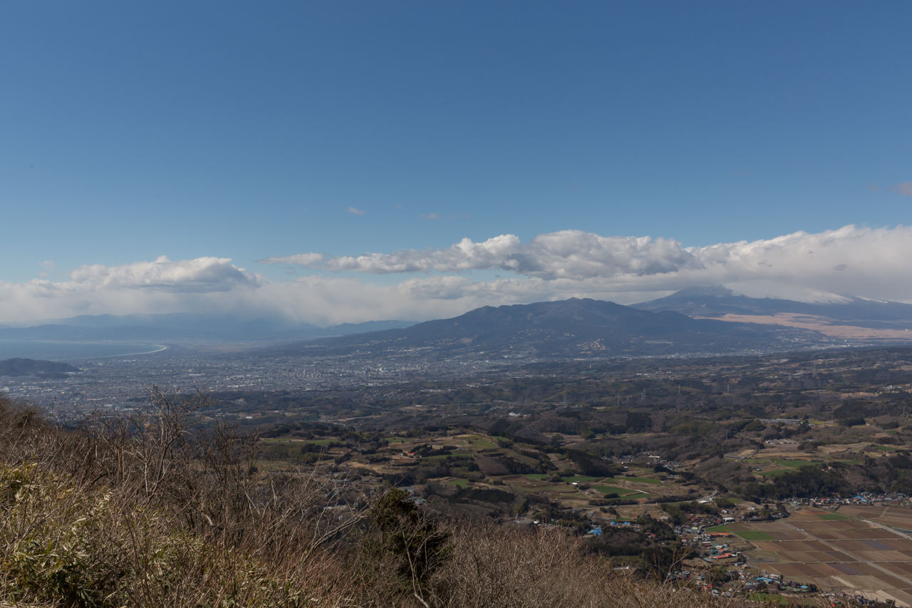 _J0A8532.jpg