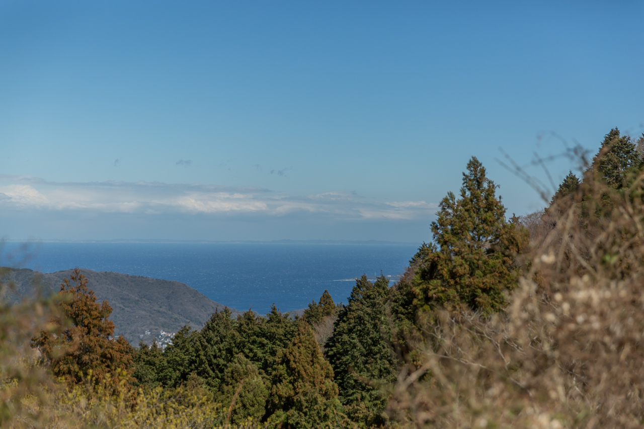 _J0A8463.jpg