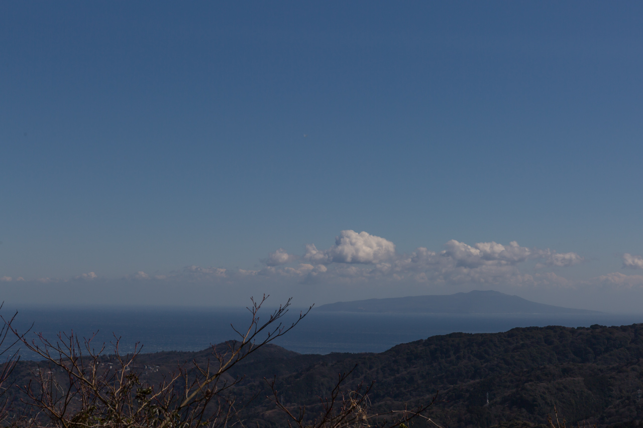 _J0A8494.jpg