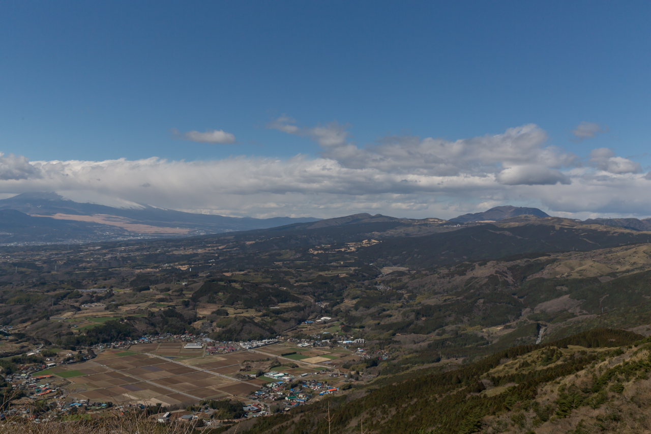 _J0A8542.jpg