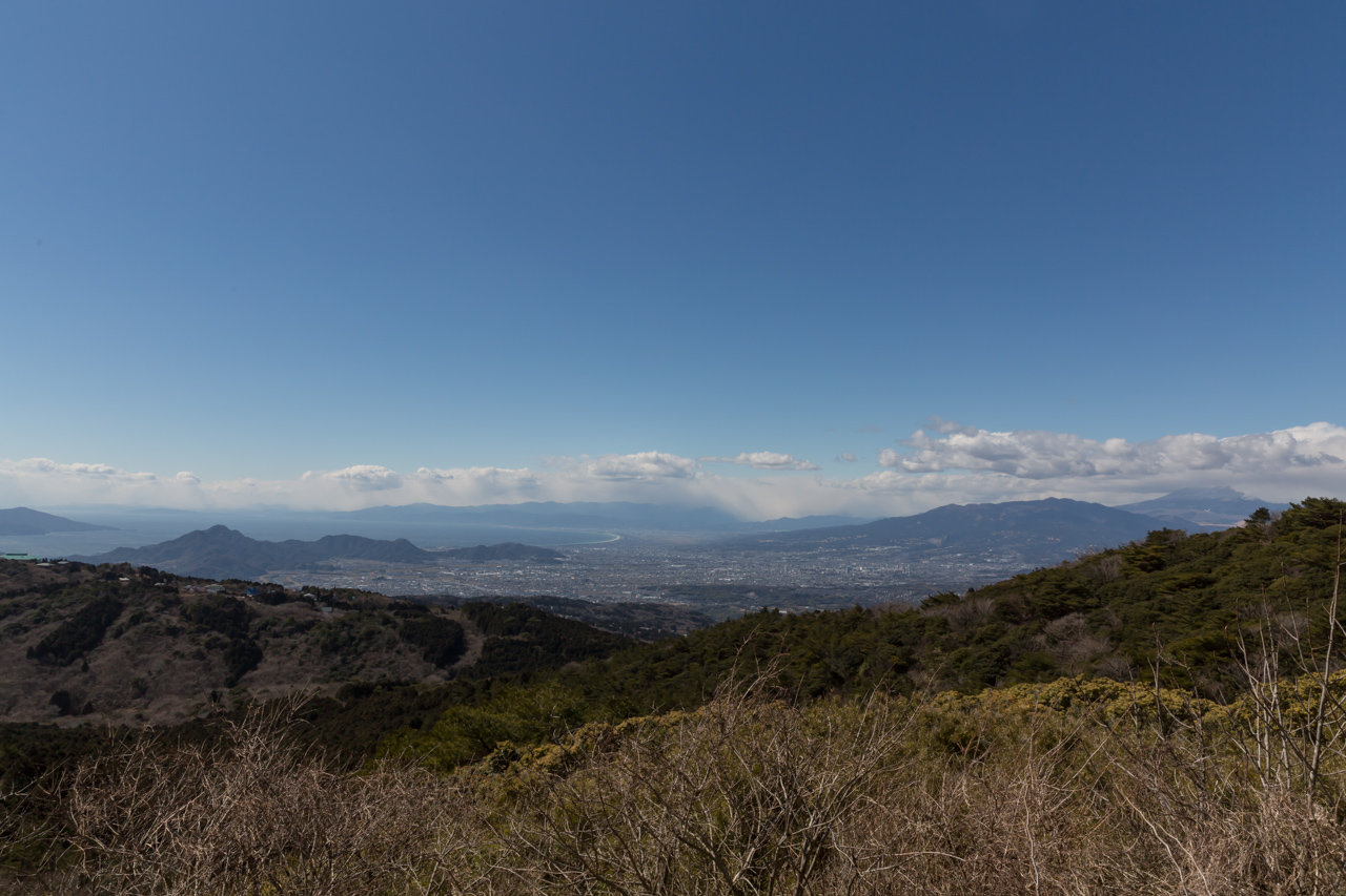 _J0A8505.jpg