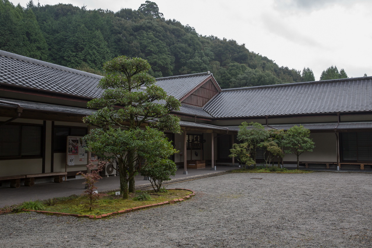 _J0A10021.jpg