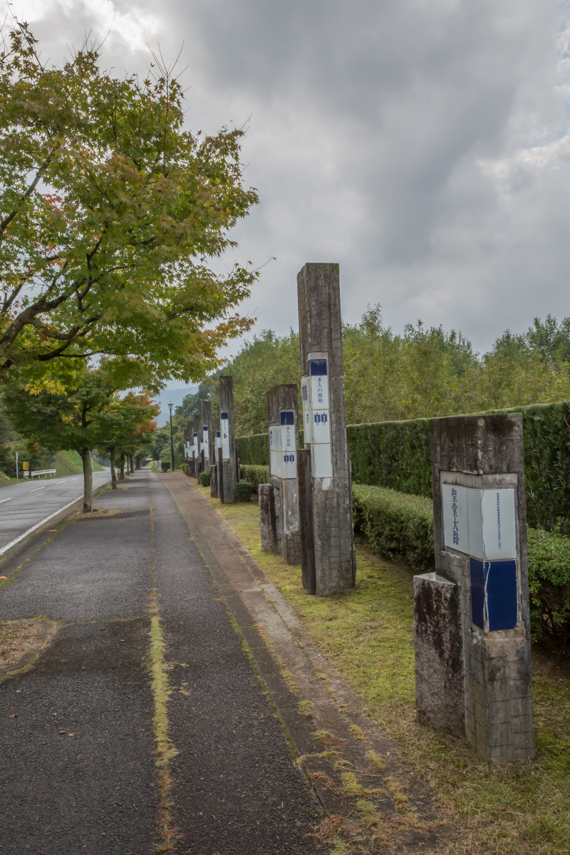 _J0A10045.jpg