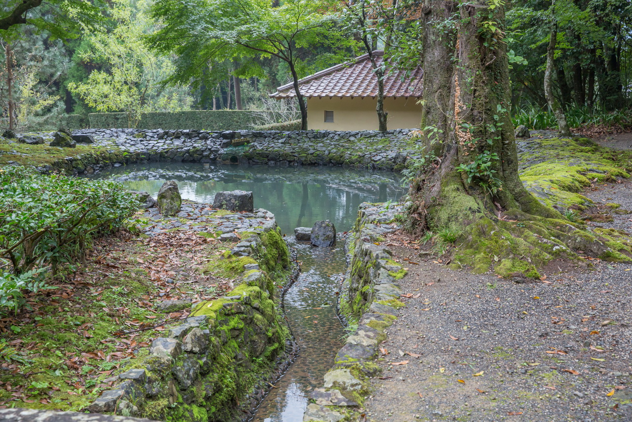 _J0A09990.jpg