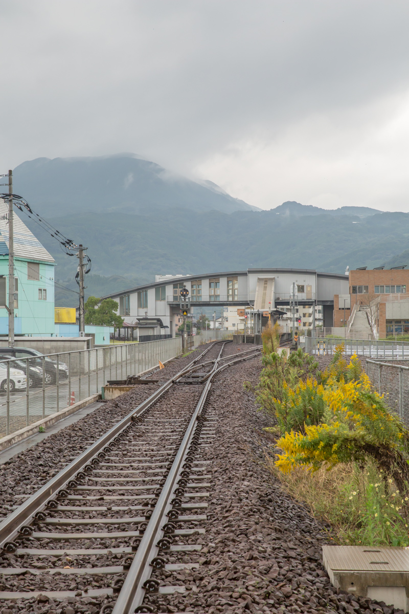 _J0A09921.jpg
