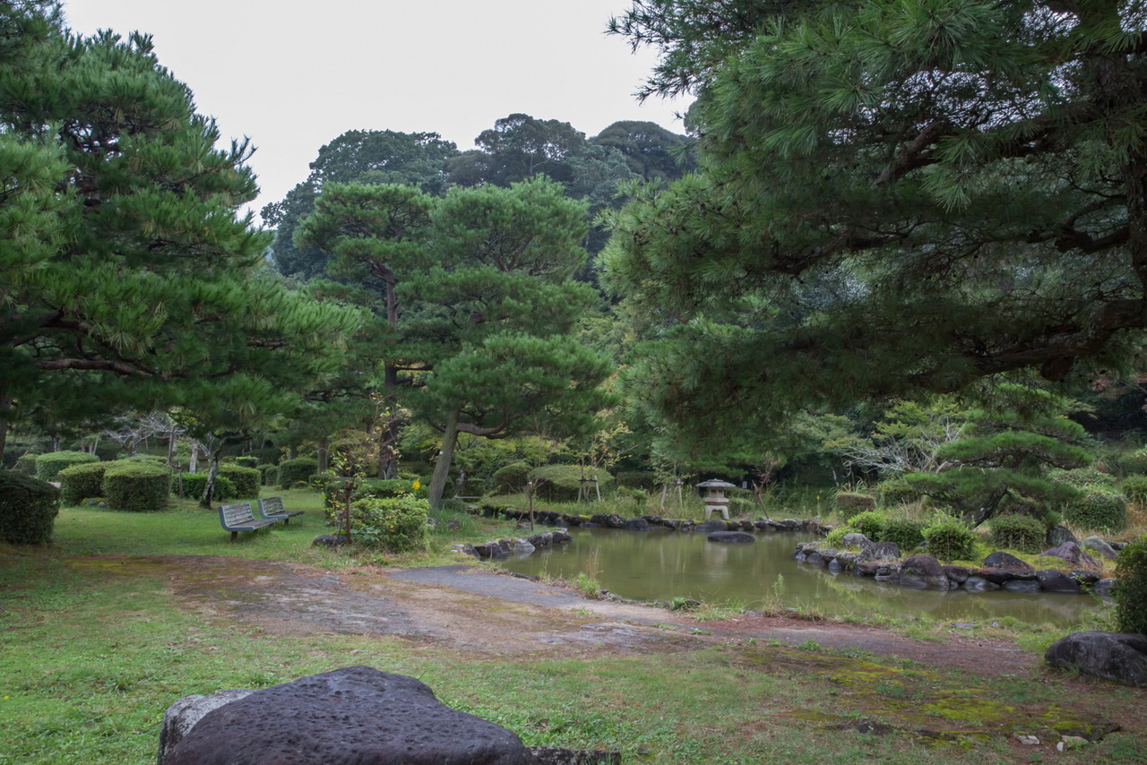 _J0A10189.jpg