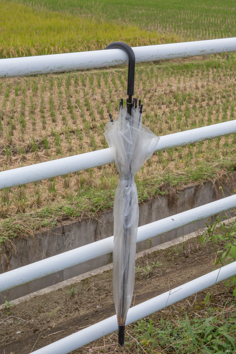 _J0A10255.jpg