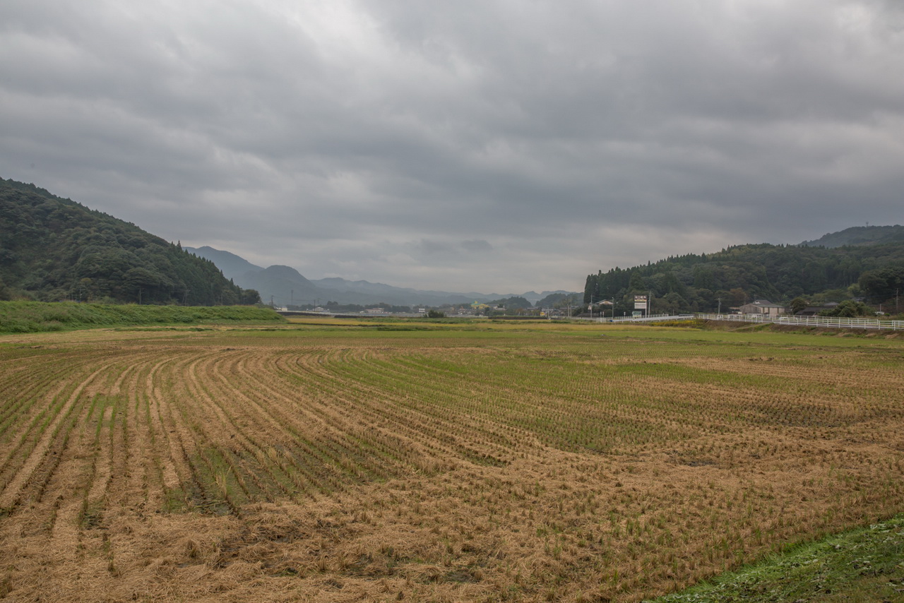 _J0A09939.jpg