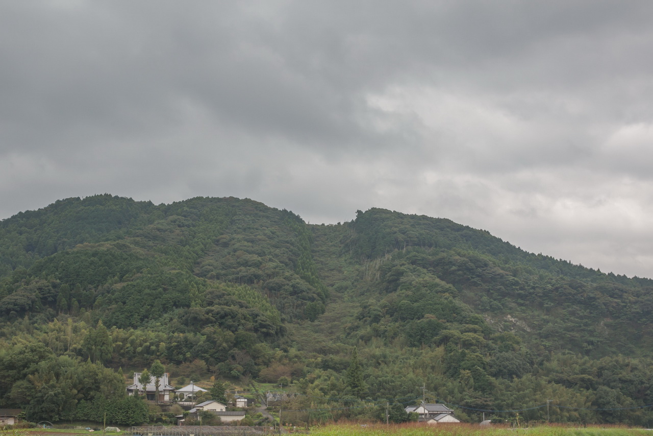 _J0A09936.jpg