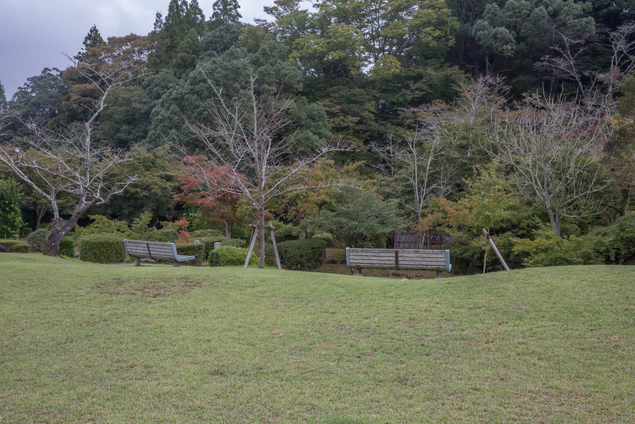 _J0A10178.jpg