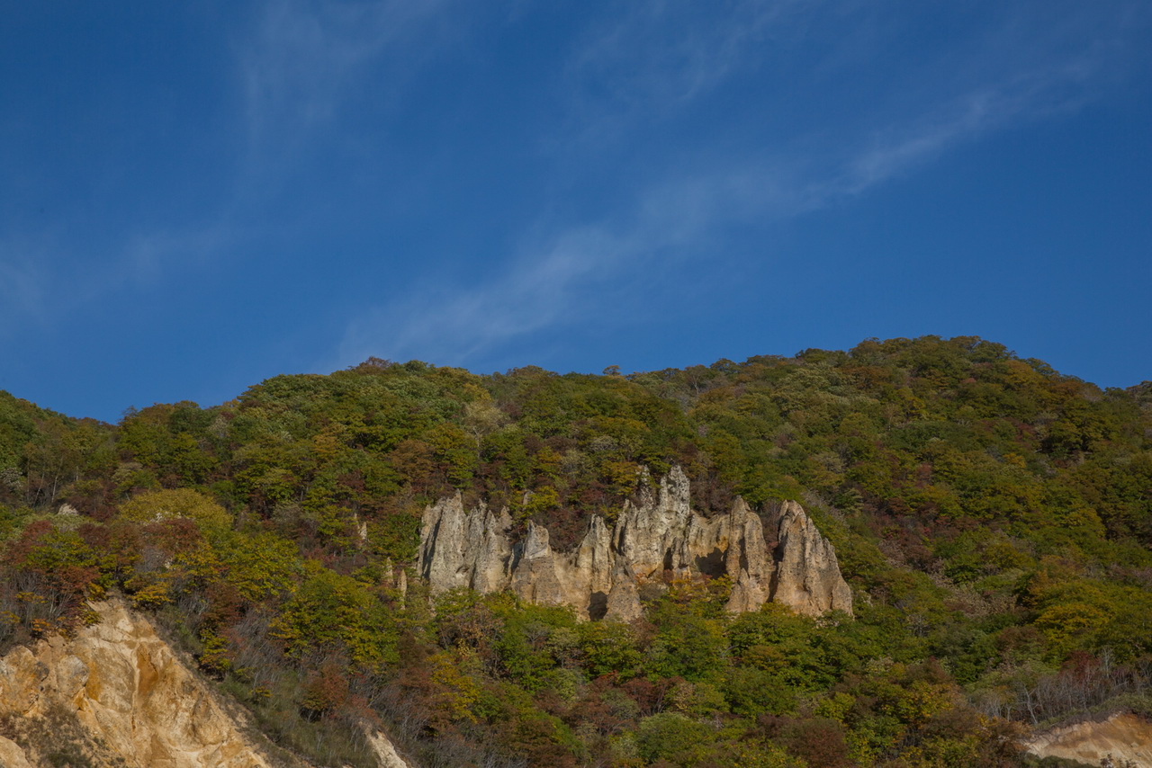_J0A4650.jpg