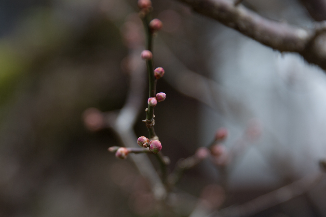 _J0A6022.jpg