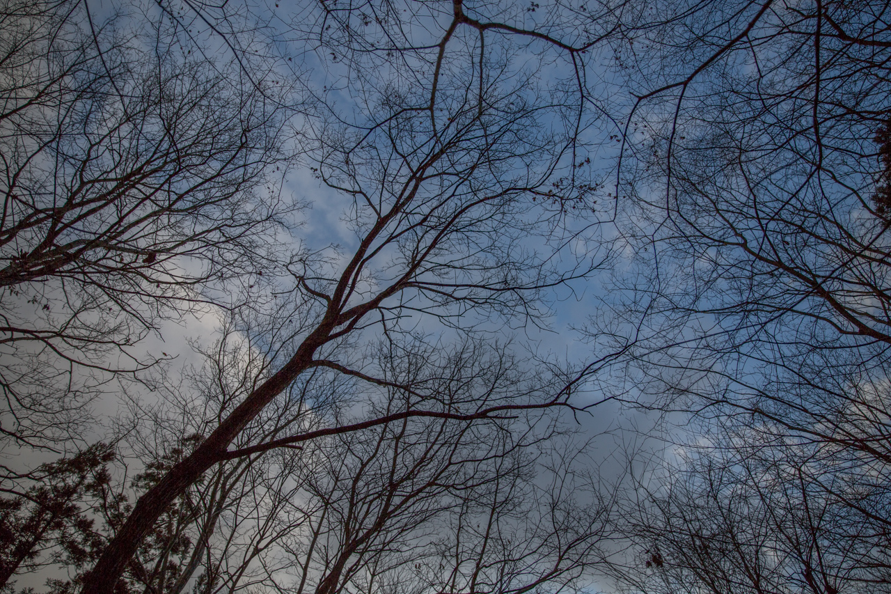 _J0A5812.jpg
