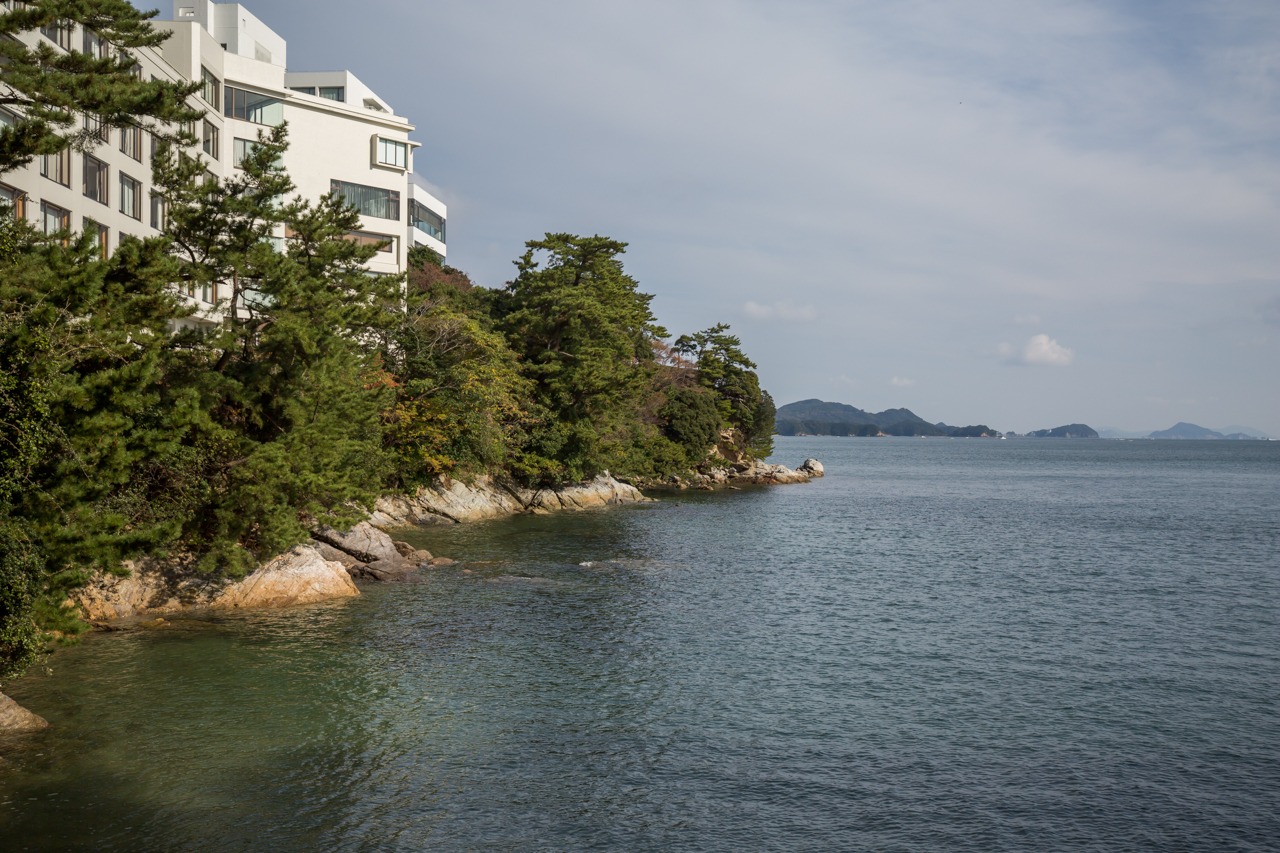_J0A0950.jpg