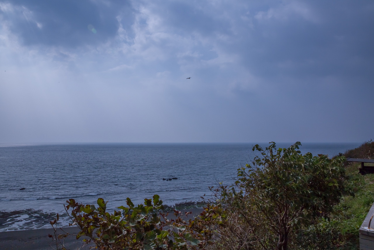_J0A5386.jpg