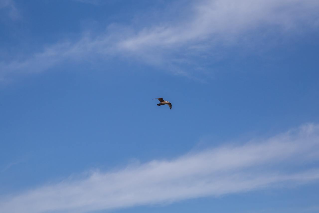 _J0A4833.jpg