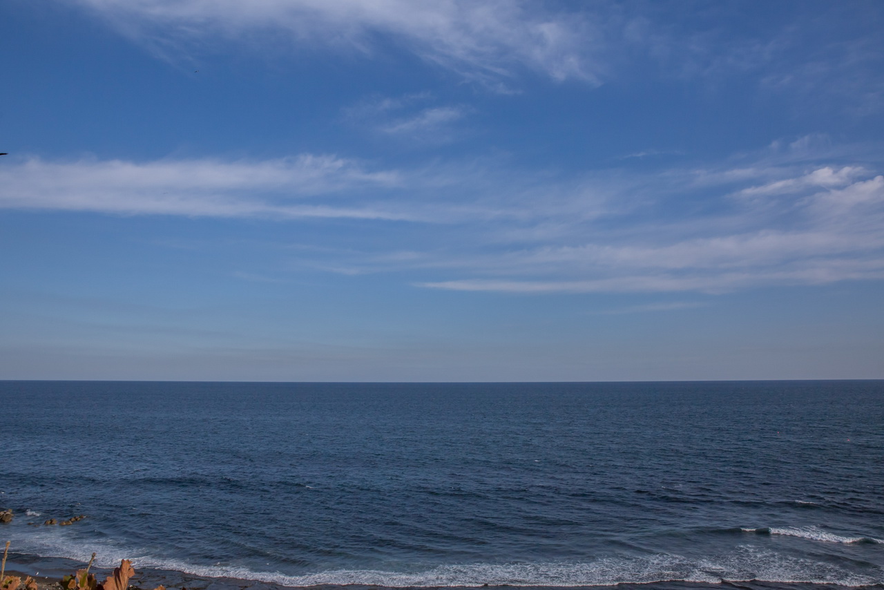 _J0A4824.jpg