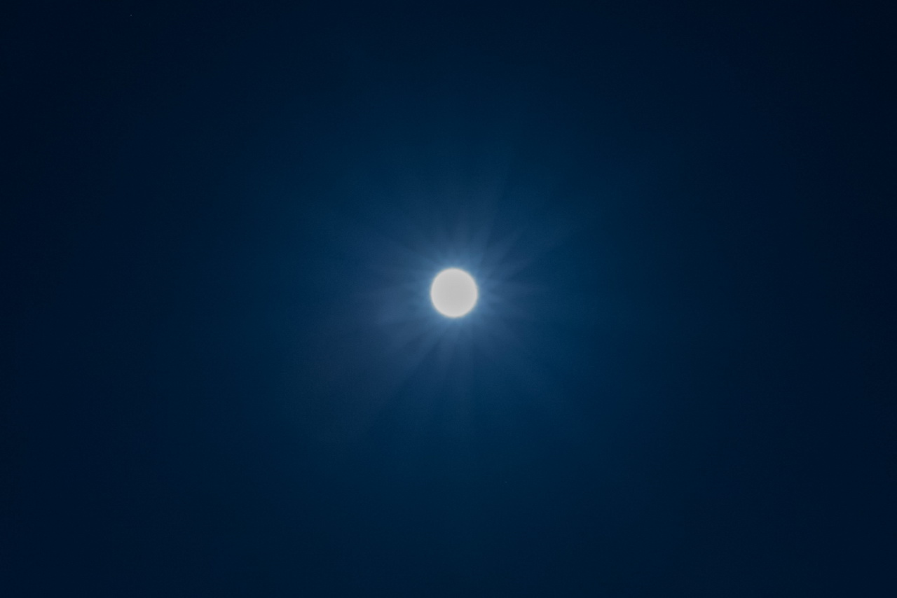 _J0A5071.jpg