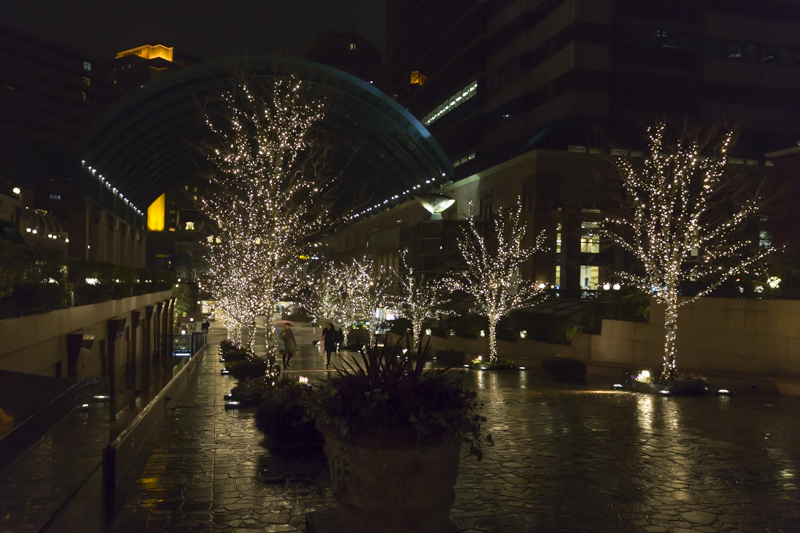 _J0A6547.jpg
