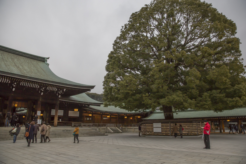 _J0A6484.jpg