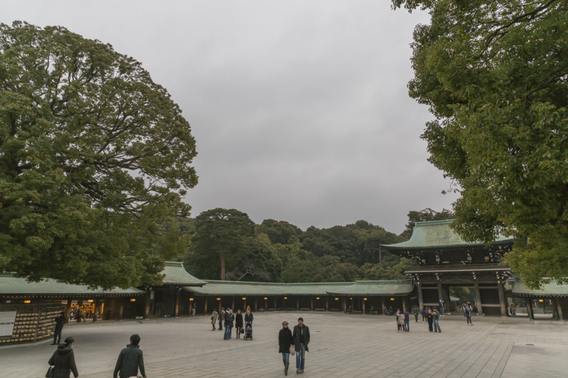 _J0A6498.jpg