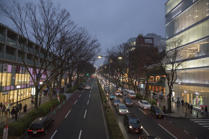 _J0A6531.jpg