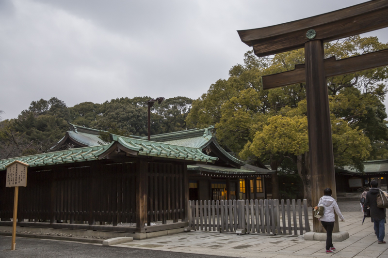_J0A6439.jpg