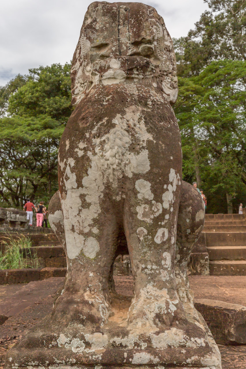 _J0A1185-1.jpg