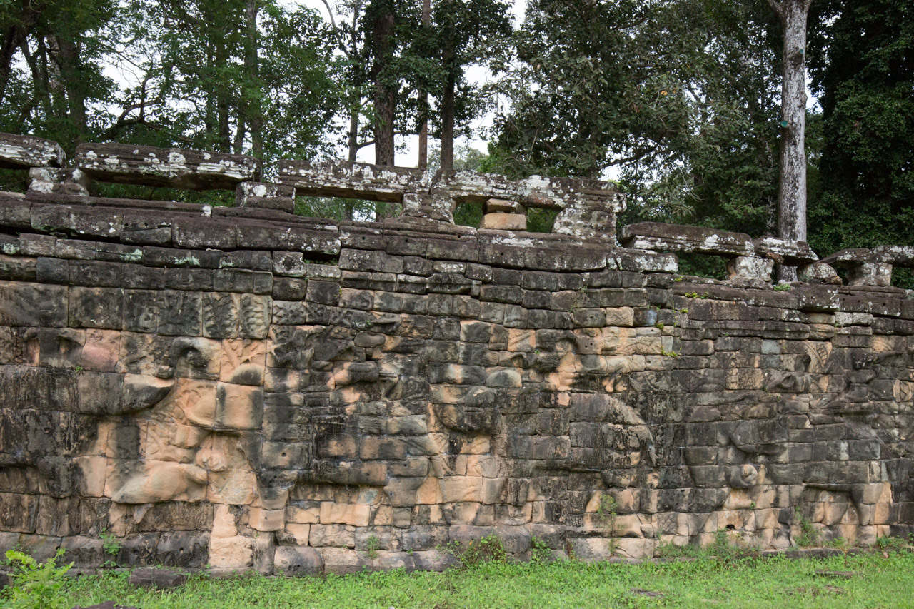 _J0A1169-1.jpg