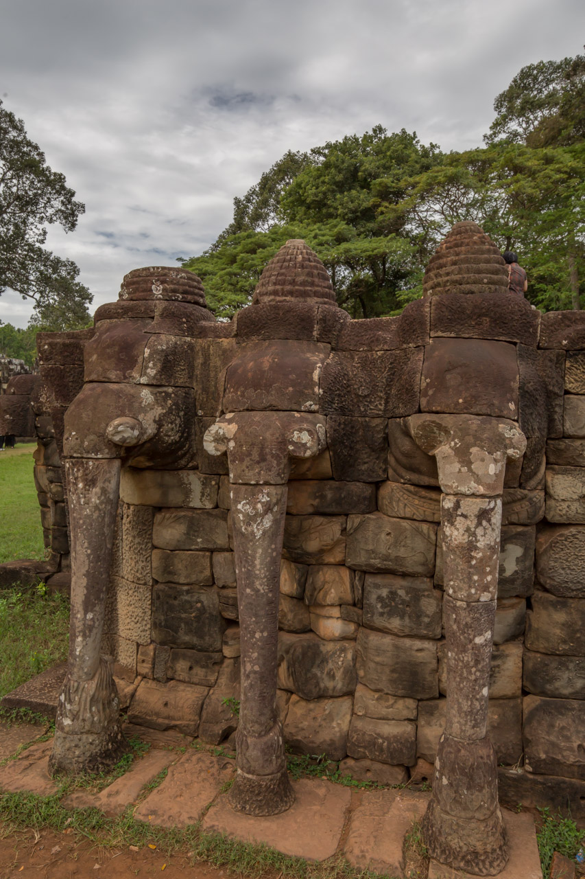 _J0A1178-1.jpg