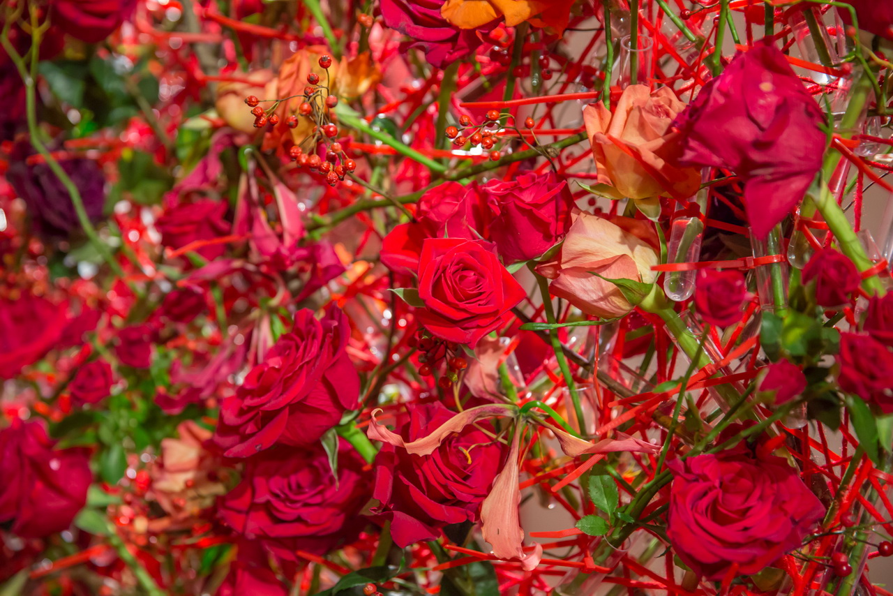 _J0A08495.jpg