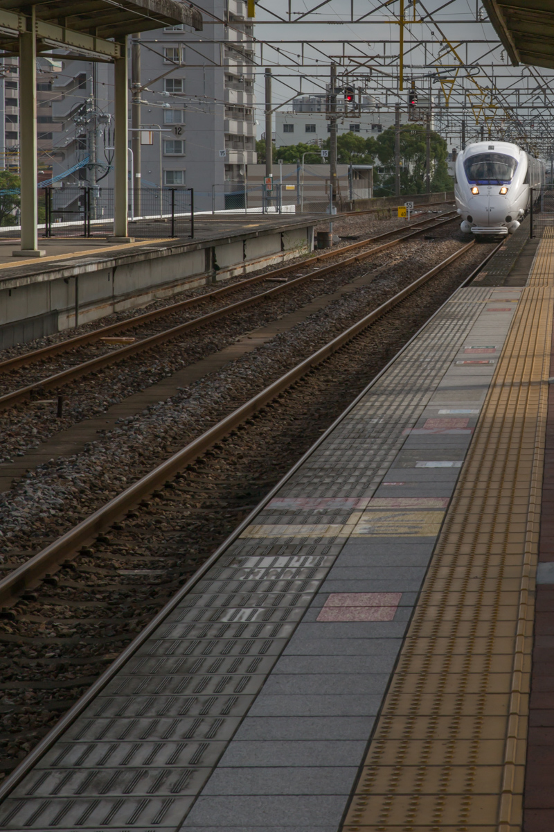 _J0A10334.jpg